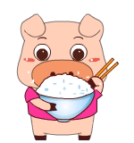 真是一只猪，吃饭用大碗