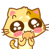 木木猫吃饼干