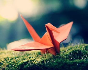 千纸鹤的图片素材，千只纸鹤的爱情