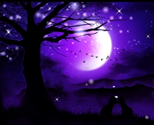 有声版黑色动画图片装饰：天上的月亮挂满了我对你的爱