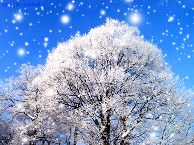 冬天下雪的动态图片，漂亮的下雪图片