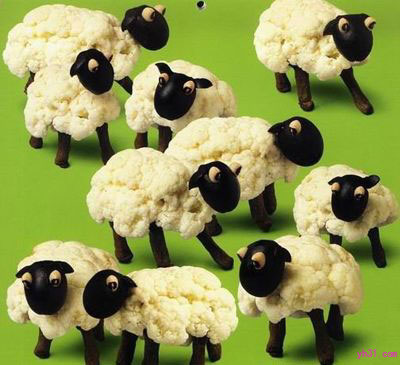 花菜做的绵羊