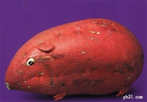 红薯做的小老鼠