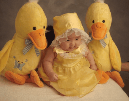 小鸭与宝宝