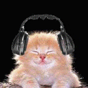 猫也听音乐