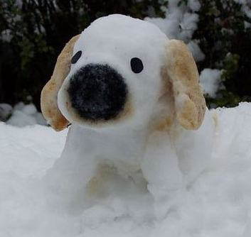 用雪做的小狗