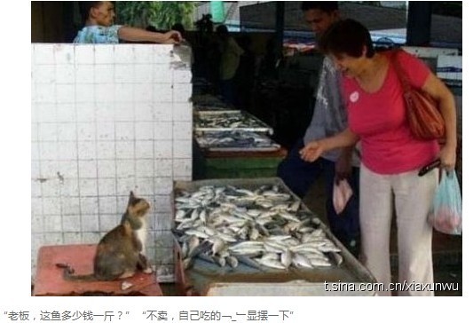 请问人，你是卖鱼的吗