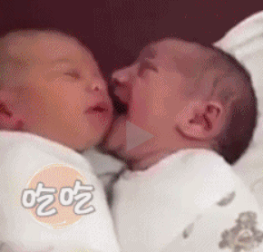 婴儿闭着眼睛吃奶奶，完全凭感觉乱吸一通