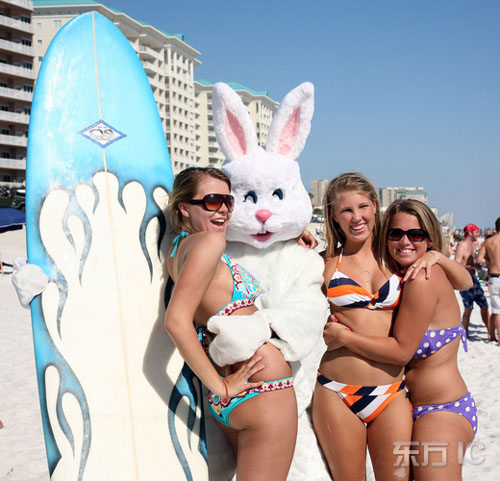 沙滩美女和假扮兔子合影