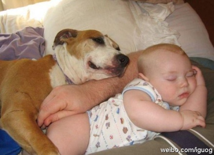 大人小孩和小狗爬在一起睡觉