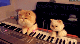 一起来弹奏钢琴