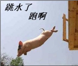 猪猪练习跳水