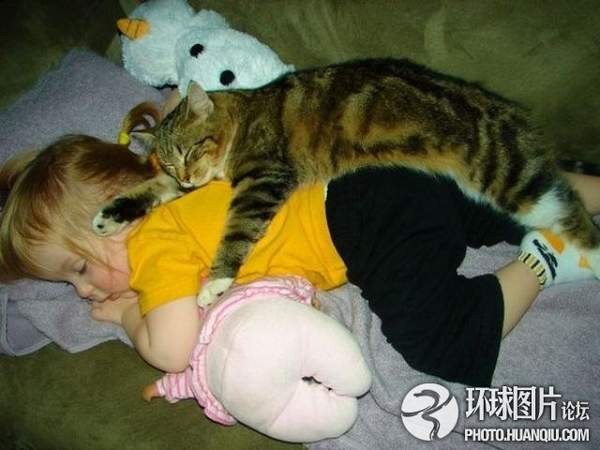 猫咪爬到宝宝身上一起睡觉