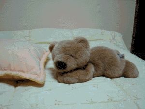 可爱的卡通小熊爬过枕头