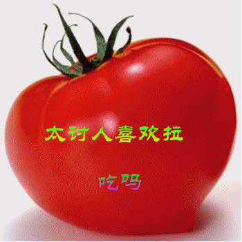 请你吃一个西红柿