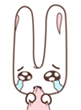 伤心的长耳朵兔