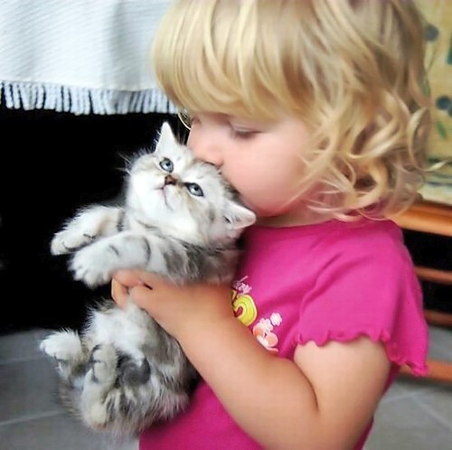 抱着猫咪亲一亲