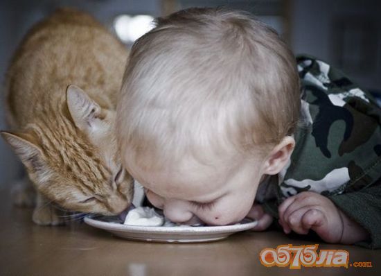 宝宝和猫咪一起吃东西