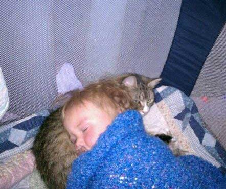 把猫猫肚子当枕头的小孩