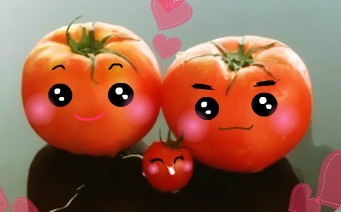 幸福三口之家的西红柿